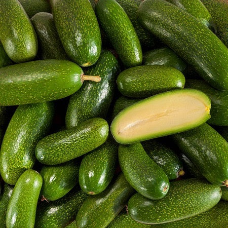 Avocado