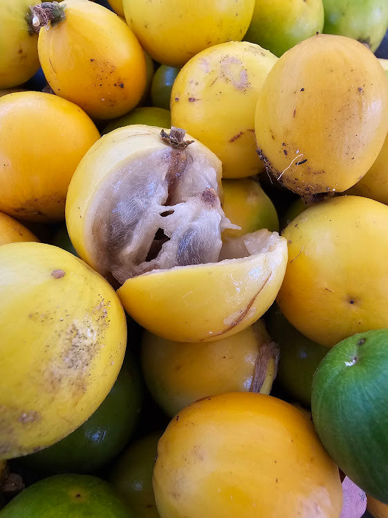 Aguai