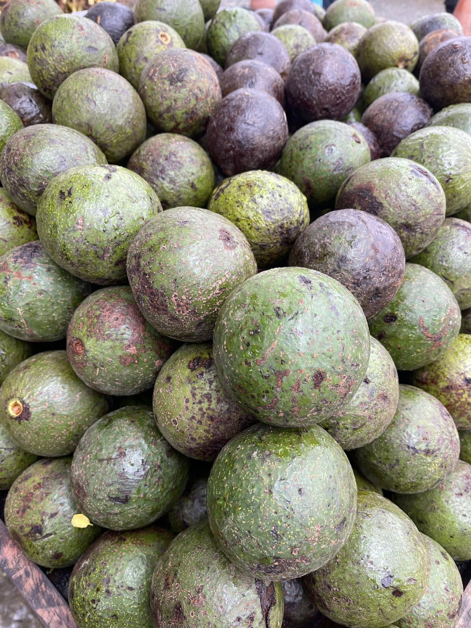 Avocado
