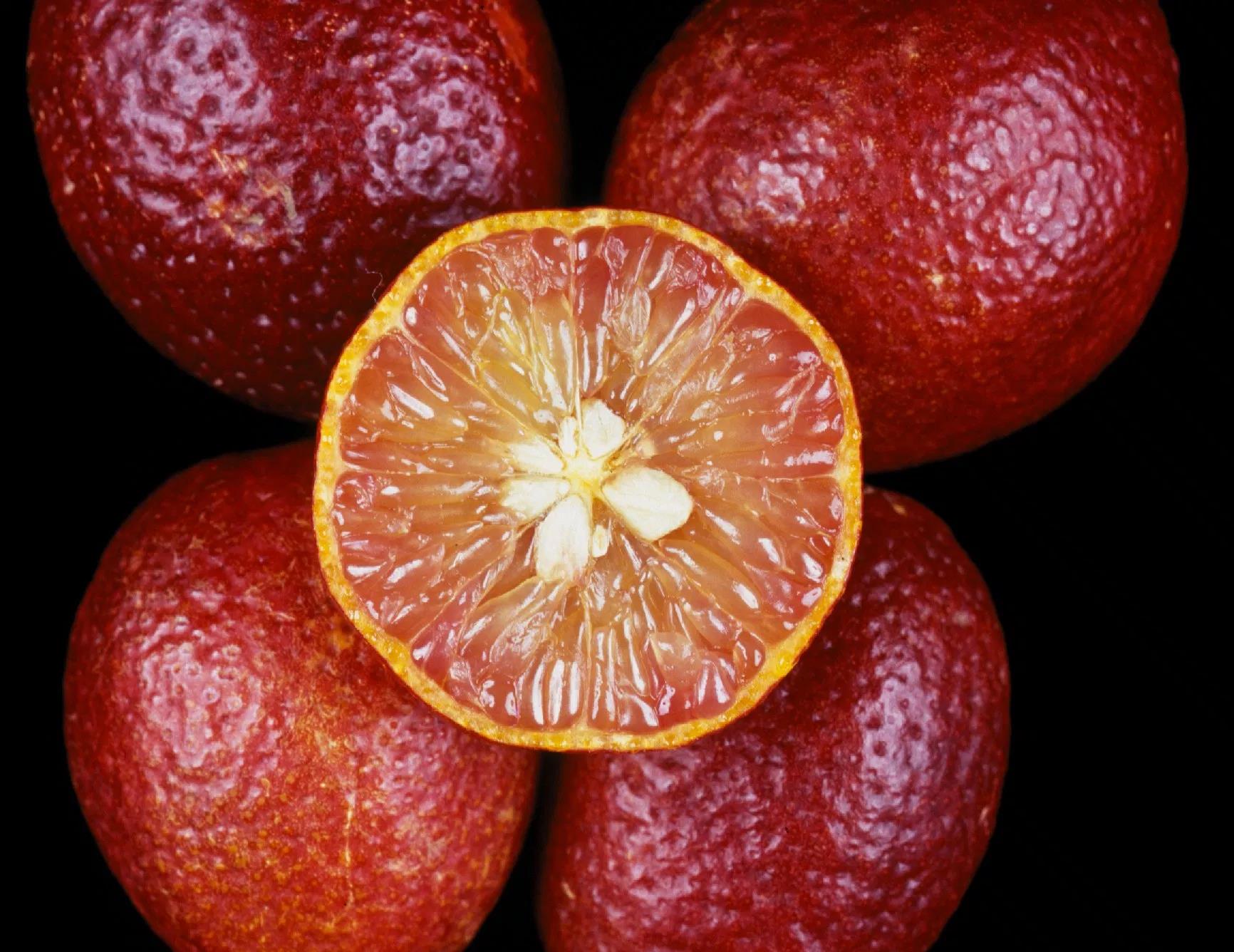 Blood lime