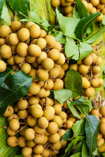 Longan