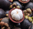 Mangostan