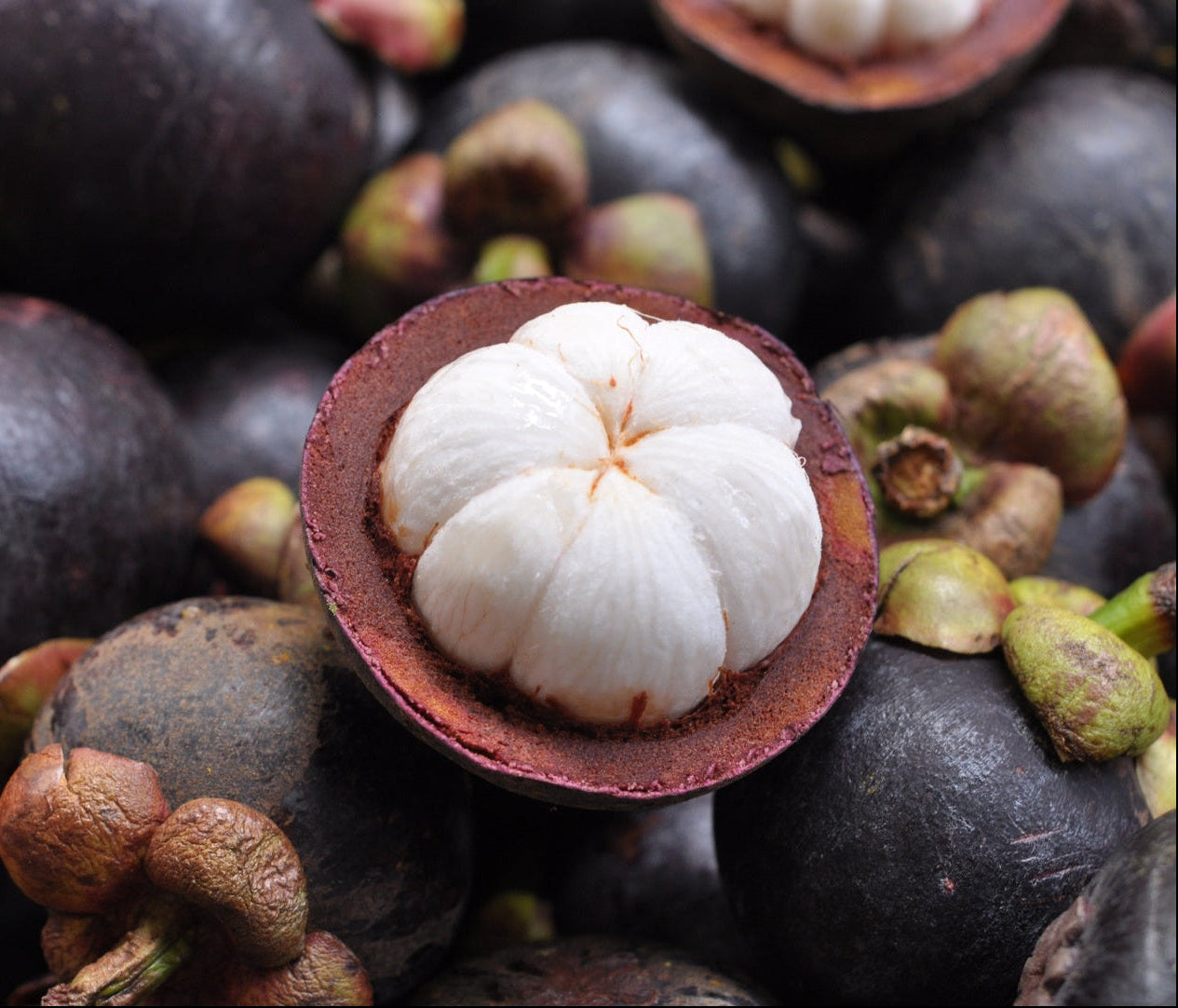 Mangostan