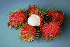 Rambutan