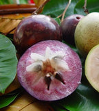 Star Apple