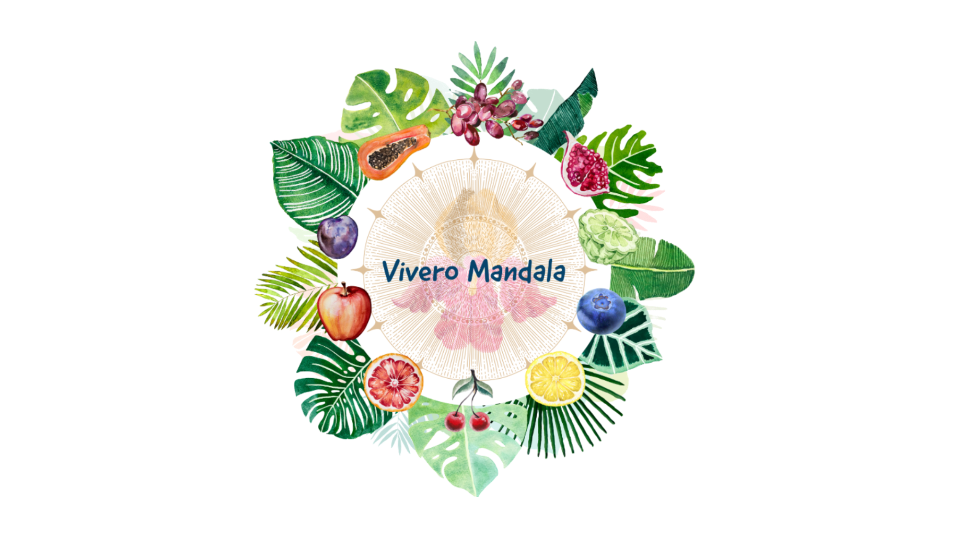 Vivero Mandala