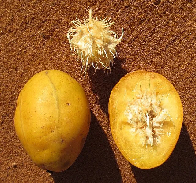 Ciruela dorada