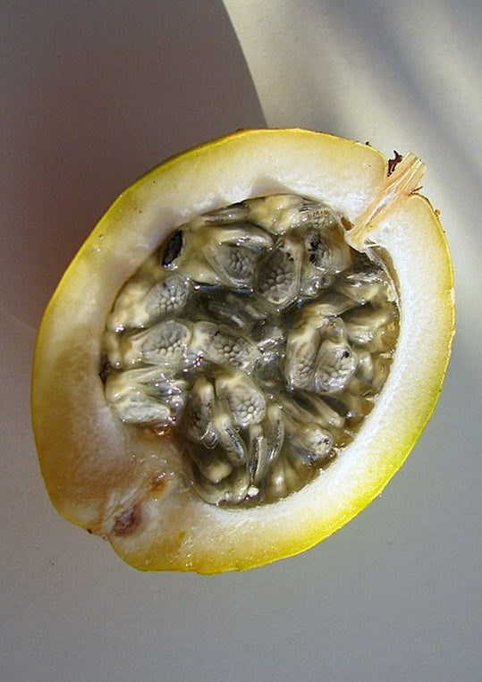 Granadilla