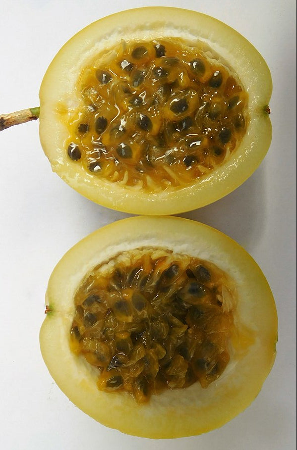 Passion fruit